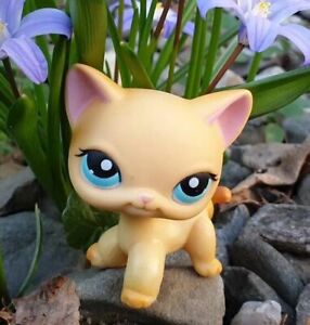 Littlest Pet Shop LPS Shorthair Cat 339 with LPS Accessories Great Gifts Rare