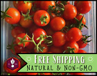 410+ Tomato Seeds [Sweetie] Vegetable Gardening Seed, Heirloom, Non-GMO, USA