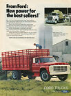 1979 Ford LN800 Flatbed & F800 Farm Stake Body Truck Print Ad