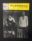 Paul Newman Sweet Bird Of Youth Playbill 1959 Geraldine Page Martin Beck Theatre