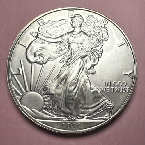 New Listing2020 American Silver Eagle- 1 Troy Ounce .999 Fine Silver in Capsule Lots Of Pic