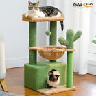 PAWZ Road Cactus Cat Tree Tower Condo House with Large Hammock Kitten Indoor Toy