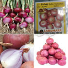 Shallot Onion 2000+ Red Allium Ascalonicum Big Bulbs Plant Garden Vegetable Seed