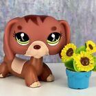 ❤️Authentic Littlest Pet Shop LPS Dachshund #3601 Red Maroon Mommy Dog