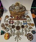 Vintage To Now Jewelry Huge Lot Choker Brooch Pins Clip On Earrings Cameo
