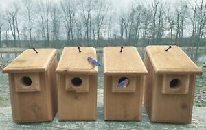 4 Brand New Cedar Bluebird Bird Houses, Natural or Scorched, Easy Open & Clean