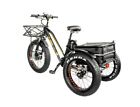 ✨️Fat Tire 3 Wheel Electric Trike Tricycle 750w 48v 17AH Samsung Battery Bafang✨