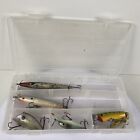Fishing Lure Lot  Large And Small Lures With Case  Variety Styles BASS