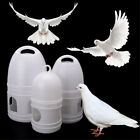 1/3/5L Pigeons Feeder Water Pot Pet Drinker Dispenser Container Birds Supplies