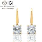 IGI, E/VS 10.20Ct Lab Grown Asscher Cut Diamond Dangle Drop Earring, 18K Y. Gold