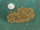 Rich GOLD PAYDIRT XL Nugget - Now offering PREMIUM PAYDIRT! panning flakes