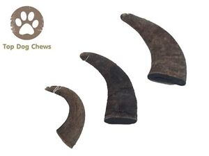 Natural Water Buffalo Bully Horns Edible Treats, 3 Count - Top Dog Chews