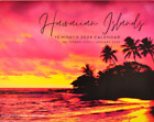 Stunning! HAWAII Hawaiian Islands 2024 WALL CALENDAR Maui Kona Oahu Big Beaches!