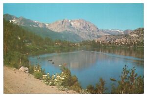 Vintage June Lake Mono County California Postcard Unused Chrome