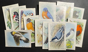 Advertising Trade Cards Useful Birds of America Ninth Series No.s 2-14 LOT 13pcs