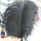 Wholesale 10-100pcs High Quality Natural Ostrich Feathers 6-24inches/15-60cm