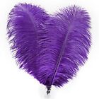 Ostrich Feathers Bulk - 30pcs 8-10 inches for Wedding Party 8-10inch Purple