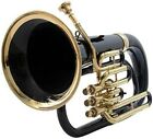 Euphonium 3 Valve Brass Made Bb Pitch with Hard Case & Mouthpiece BLACK COLOR
