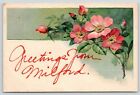 Milford IA~Embossed Wild Rose Greetings~Pink Font~Aunt Minnie Dedrick of Nichols