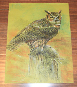 Wayne Trimm Original OWL Pastel Drawing Painting, 20