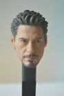 1/6  Tony Stark Robert Downey Head Sculpt For 12'' Male HT Figure Body