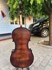 Master SONG Half Size Cello 1/2,Spruce Maple wood Hand made,Loud Sound #15291