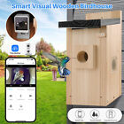 Outside Wooden Bird Houses Hanging Handmade Natural Bird House with Camera HD