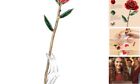 New ListingGold Dipped Rose - Real 24K Gold Rose - Hand Dipped 24K Golden Rose Flower  Red