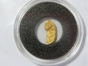 Genuine Gold Nugget  .368 Gram Raw and unaltered Nice Long Shape