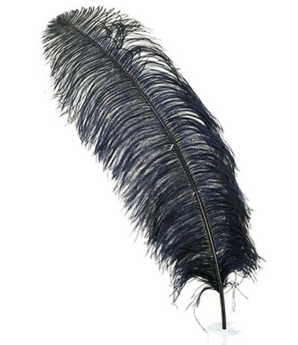 OSTRICH PLUMES 18