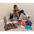Lot of American Girl Kaya Historical Doll + Accessories Horse Clothes