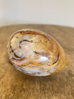 Green Onyx Egg Stone Polished Rock Lapidary Specimen Paperweight 1 of 2