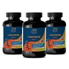 Sport Vitamins - L-GLUTAMINE - Immune Health - Dietary Supplement - 3Bot 300Ct
