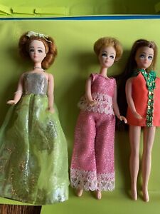 New ListingVintage 3 Dawn Barbie Doll Topper Case