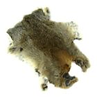 authentic large soft GENUINE RABBIT SKIN FUR PELT real big tanned taxidermy hide