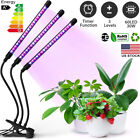 60 LED 3 Head Grow Light Full Spectrum Desk Clip Lamp Indoor Plants Seed w/Timer