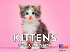 Kitten 2024 Cat Monthly Calender Kitty Gifts Wall Calendar
