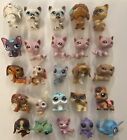 Huge Littlest Pet Shop LPS Lot Cats Dogs And More Over 550 Figures!