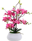 New ListingArtificial Orchid Plants and Flowers with Vase, Fake Faux Orchid in Ceramic Pot,