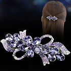 Women Silver Tone Purple Color Rhinestone Crystal Hair Barrettes Metal Hair Clip