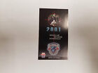 Buffalo Destroyers 2001 AFL Arena Indoor Football Schedule - Quality Markets
