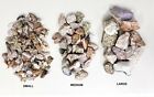 Bulk Rough Stones Assorted Crystals - Mixed Lot Collection