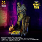 New ListingPSL The Mummy's Graveyard 1/8 Lon Chaney Jr. Plastic Model Kit Limited Japan