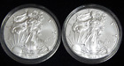 LOT OF (2)  2019 SILVER EAGLES IN CAPSULES