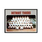 1970 Topps Baseball Card Tigers Team Photo/Records #579