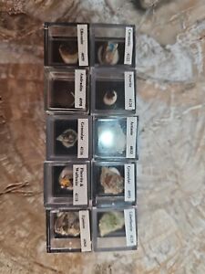 Micromount Mineral Lot MM20-10 Fine Specimens in Acrylic Boxes-Visit eBay Store!