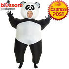 K354 Panda Animal Adult Inflatable Fan Blow Up Mascot Barn Funny Costume Suit