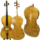 Standard full profession SONG maestro cello 4/4, huge and powerful sound#15825