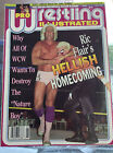 Pro Wrestler Illustrated PWI June 1993 Flair Sting W/ Razor Ramon Poster!
