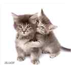 Allsop NatureSmart Mouse Pad Kittens ALS30184